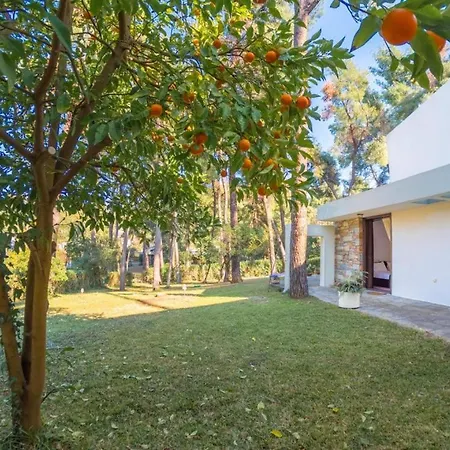 Sani Lili 3 Sani (Chalkidiki)